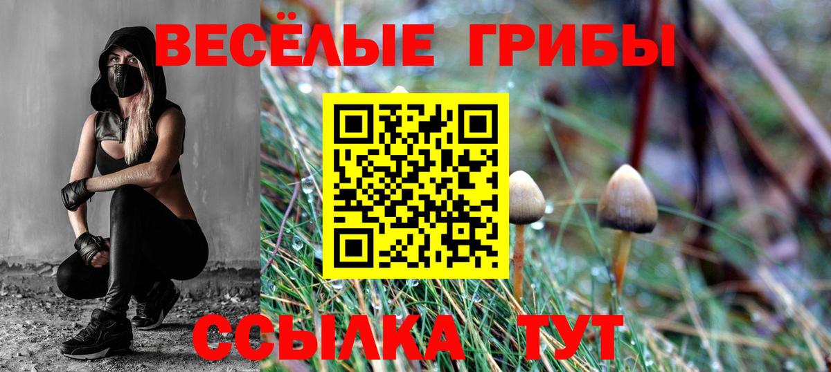 Галлюциногенные грибы мухоморы Кимры