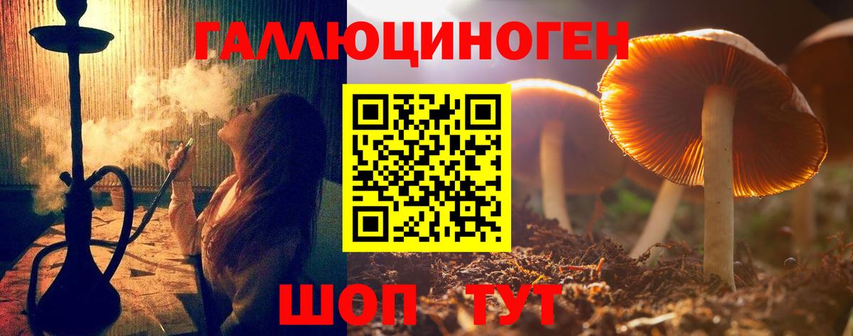 Кимры  Псилоцибиновые грибы MAGIC MUSHROOMS  продажа наркотиков  Вход с VPN 